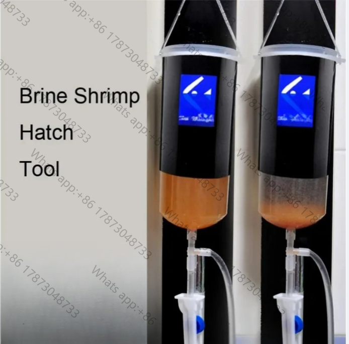 Fairy shrimp egg artemia alive - огляд і ціна Baby Food Shrimp