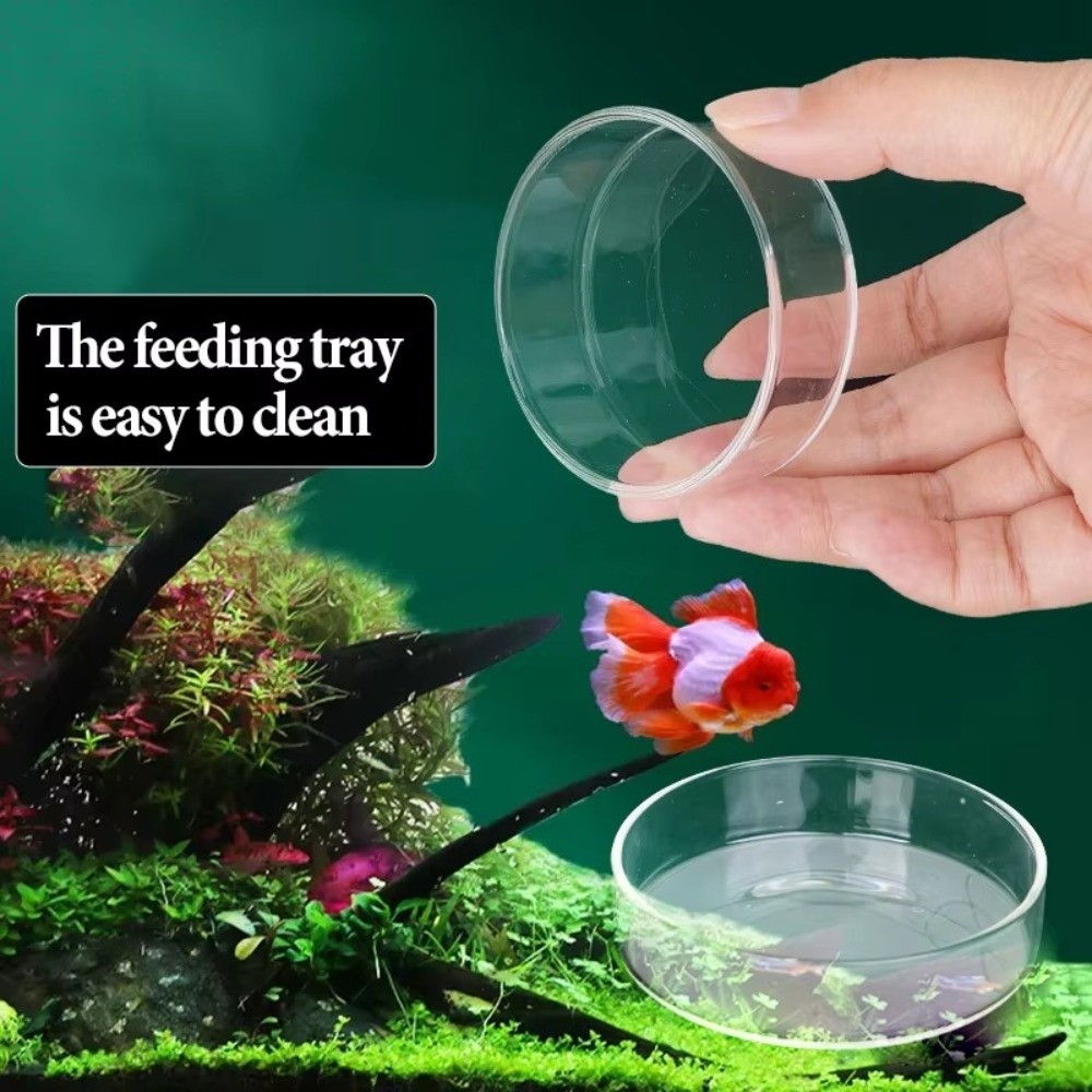 Glass Aquarium Feeding Bowl Du - огляд і ціна Baby Food Shrimp