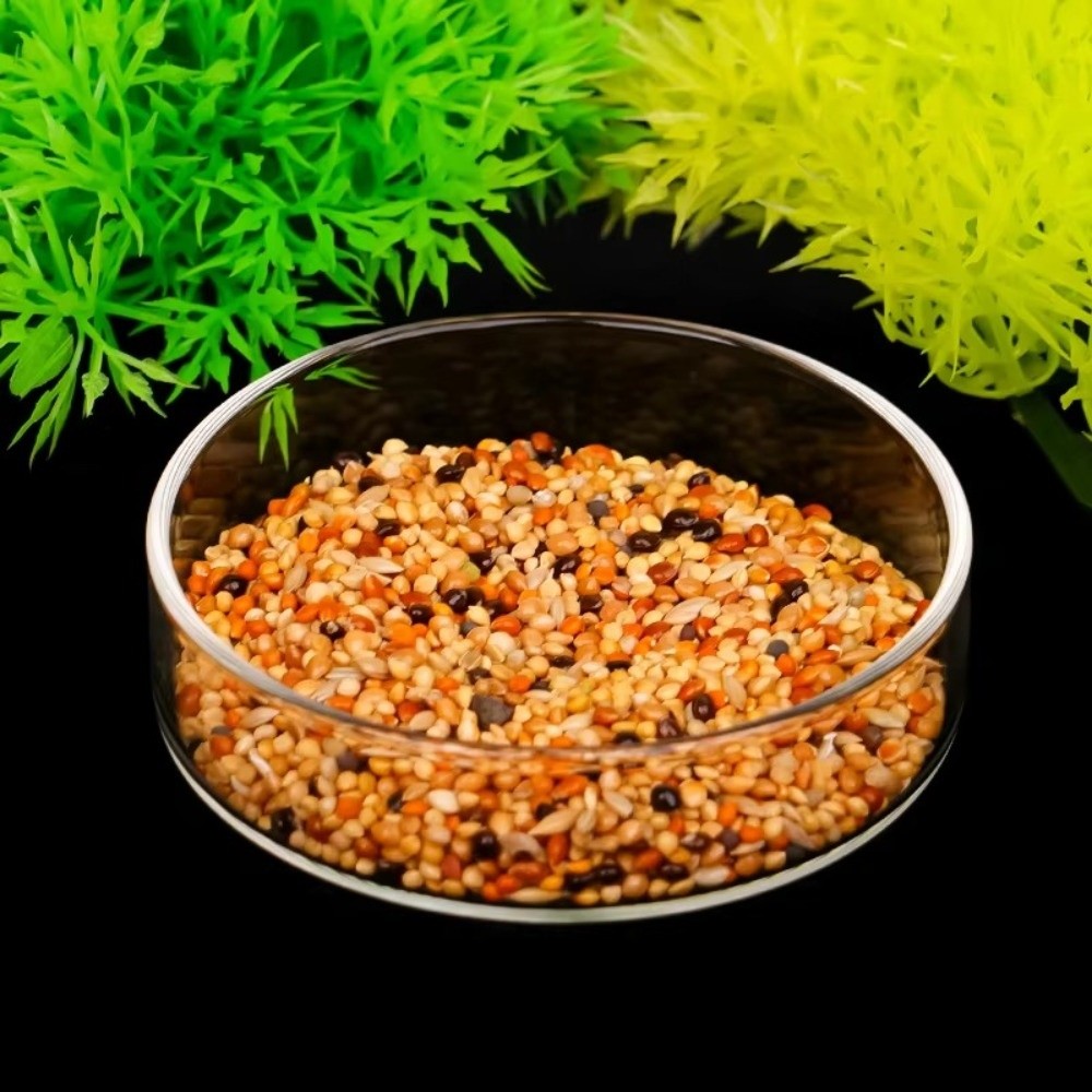 Glass Aquarium Feeding Bowl Du - огляд і ціна Baby Food Shrimp