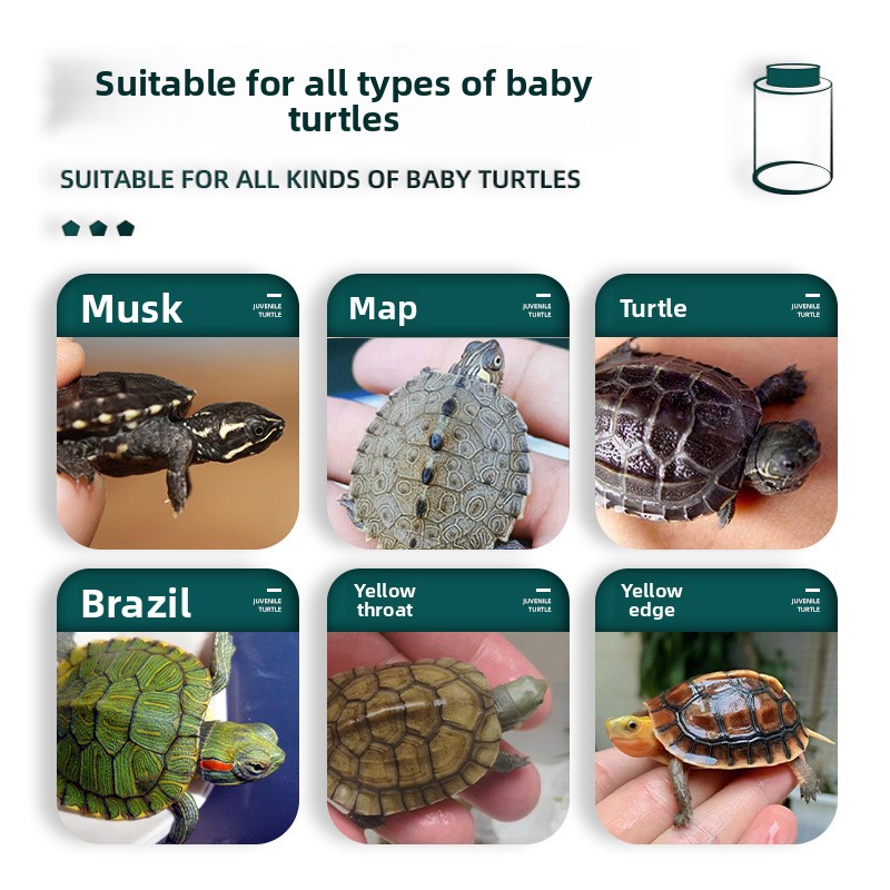 BESSN All-Stage Turtle Food wi - огляд і ціна Baby Food Shrimp