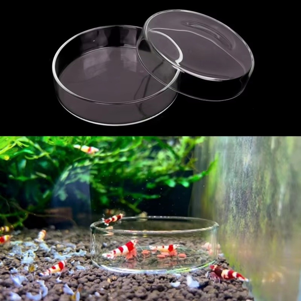 Glass Aquarium Feeding Bowl Du - огляд і ціна Baby Food Shrimp