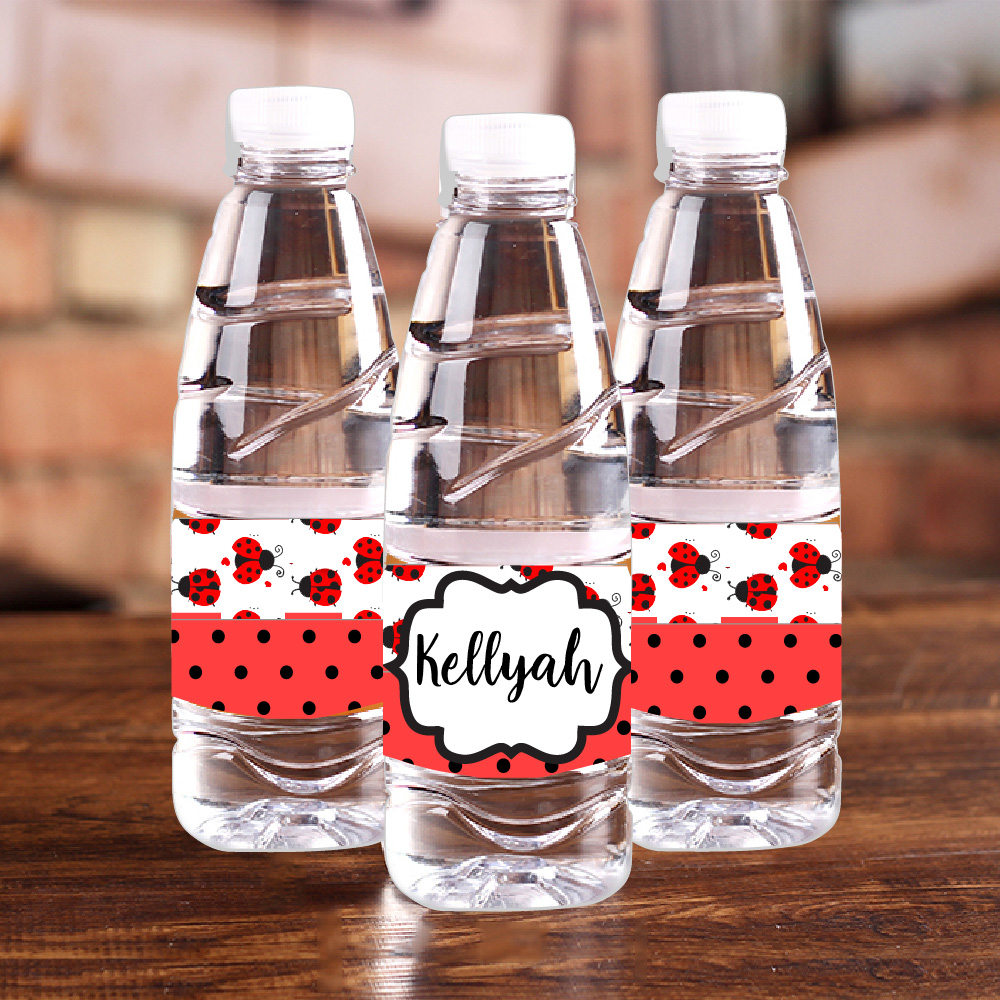 Personalised Ladybug Red Polka - огляд і ціна Baby Food Flavors